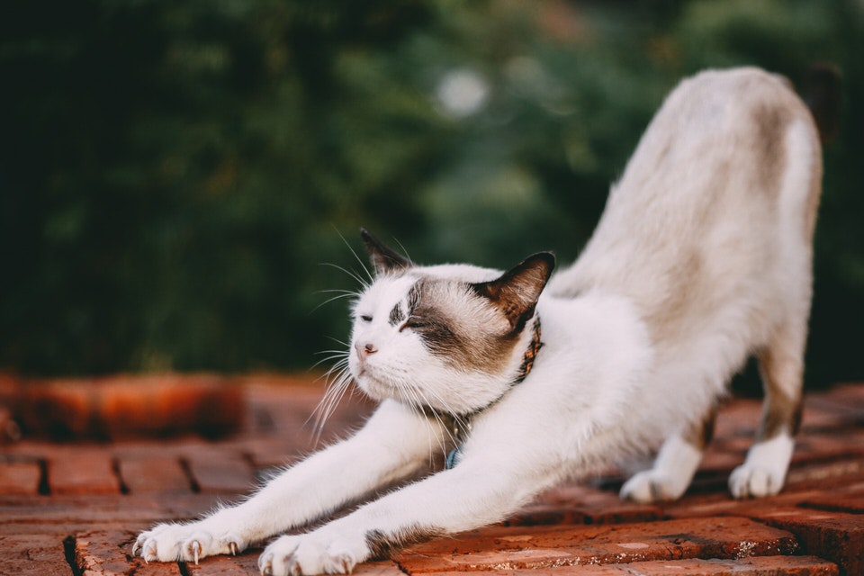 Stretch to calm down when you have anxiety.